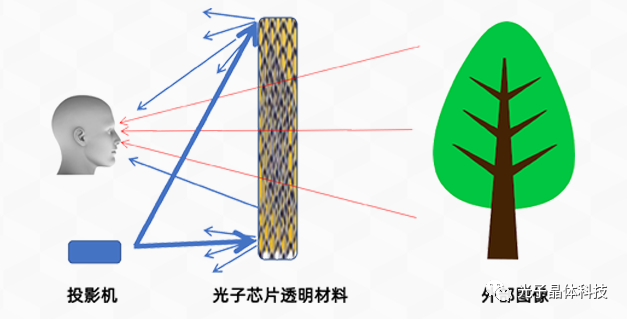 “光子晶體科技”起名記
