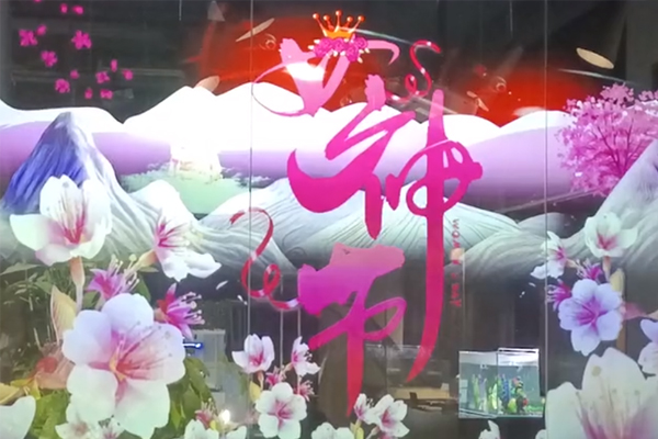 三八婦女節(jié)｜光子晶體科技祝女神們節(jié)日快樂！