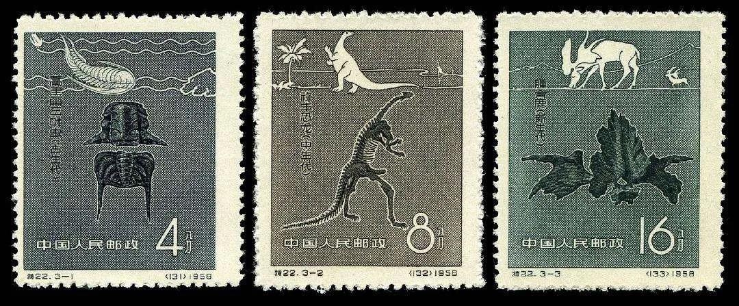 光子科技賦能世界恐龍博物館，AR全息顯示再現(xiàn)侏羅紀(jì)時(shí)代